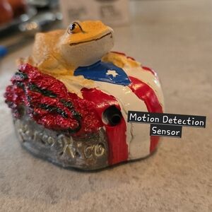 Realistic Life Like Sound of Coqui Hermoso Sonido en vivo del Coquí